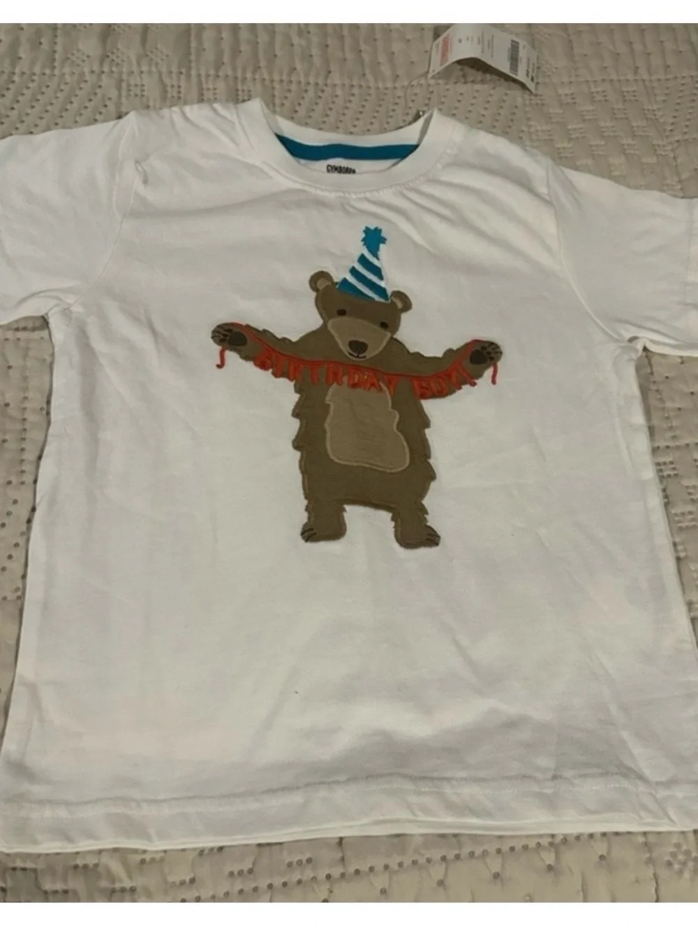 Birthday Bear Tee and Green Short set